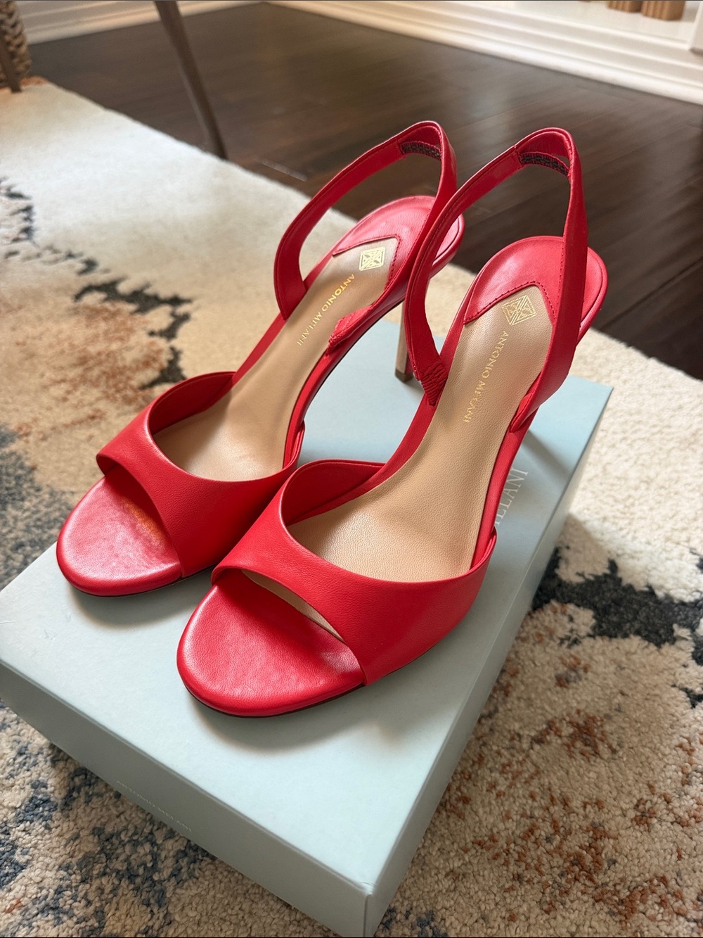 ANTONIO MELANI ‘Lyssa’ Open-Toe Slingback Heels